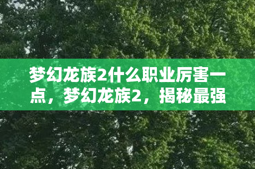 梦幻龙族2什么职业厉害一点，梦幻龙族2，揭秘最强大的职业