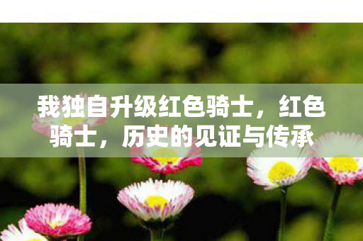我独自升级红色骑士，红色骑士，历史的见证与传承