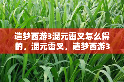 造梦西游3混元雷叉怎么得的，混元雷叉，造梦西游3中的神器获取攻略