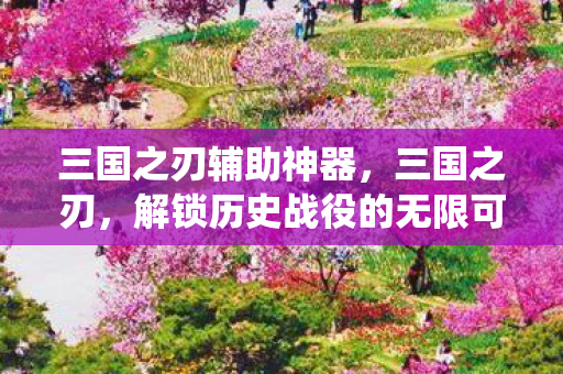 三国之刃辅助神器，三国之刃，解锁历史战役的无限可能