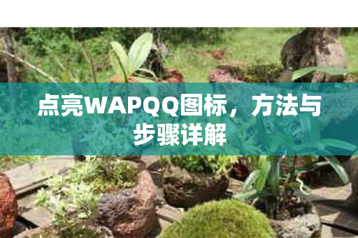 点亮WAPQQ图标，方法与步骤详解