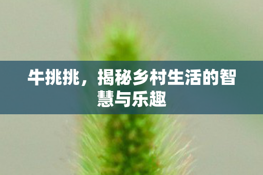 牛挑挑，揭秘乡村生活的智慧与乐趣
