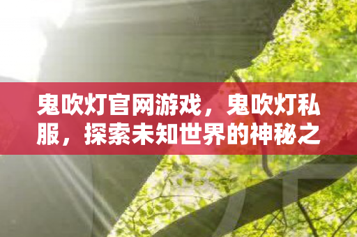 鬼吹灯官网游戏，鬼吹灯私服，探索未知世界的神秘之旅