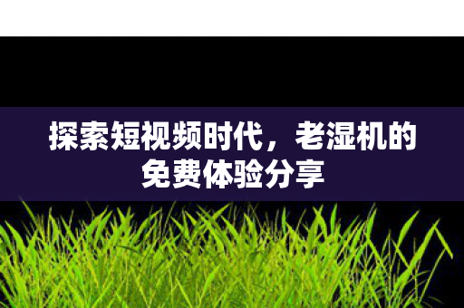 探索短视频时代，老湿机的免费体验分享