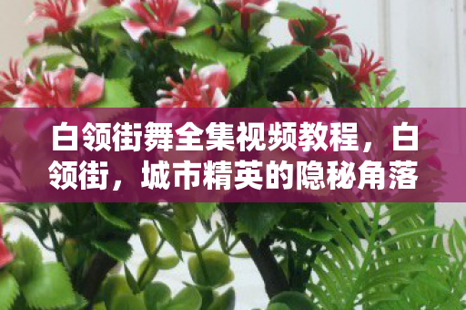 白领街舞全集视频教程,白领街,城市精英的隐秘角落 白领街舞全集视频教程,白领街,城市精英的隐秘角落