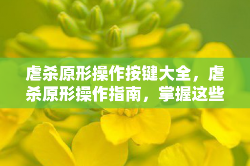 虐杀原形操作按键大全,虐杀原形操作指南,掌握这些技巧,成为游戏高手 虐杀原形操作按键大全,虐杀原形操作指南,掌握这些技巧,成为游戏高手