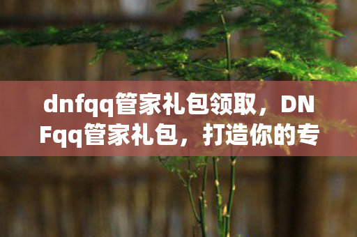 dnfqq管家礼包领取，DNFqq管家礼包，打造你的专属游戏神器