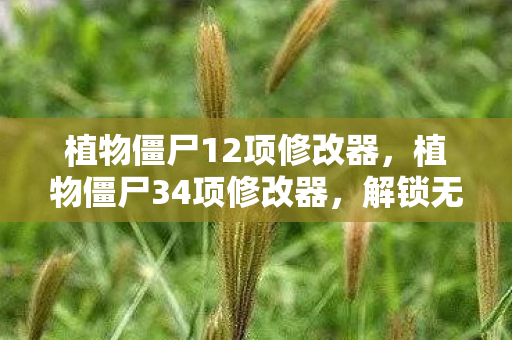 植物僵尸12项修改器，植物僵尸34项修改器，解锁无限可能的植物大战僵尸新体验
