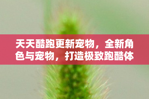 天天酷跑更新宠物,全新角色与宠物,打造极致跑酷体验 天天酷跑更新宠物,全新角色与宠物,打造极致跑酷体验