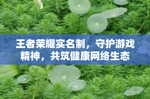 王者荣耀实名制,守护游戏精神,共筑健康网络生态 王者荣耀实名制,守护游戏精神,共筑健康网络生态