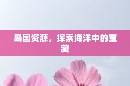 岛国资源，探索海洋中的宝藏