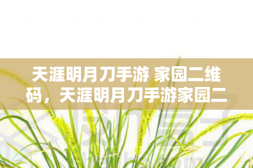 天涯明月刀手游 家园二维码，天涯明月刀手游家园二维码，打造你的专属虚拟世界