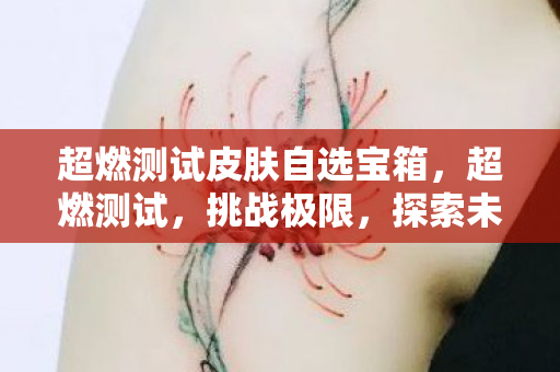 超燃测试皮肤自选宝箱，超燃测试，挑战极限，探索未知