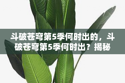 斗破苍穹第5季何时出的，斗破苍穹第5季何时出？揭秘动画更新时间表