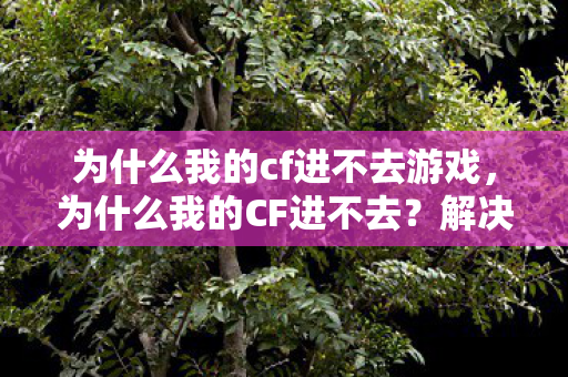 为什么我的cf进不去游戏，为什么我的CF进不去？解决CF游戏无法启动的常见问题