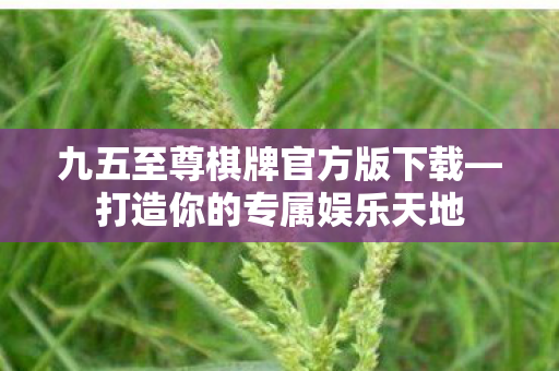 九五至尊棋牌官方版下载—打造你的专属娱乐天地