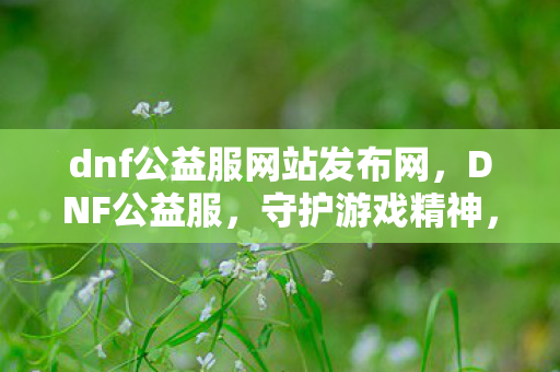 dnf公益服网站发布网，DNF公益服，守护游戏精神，传递正能量