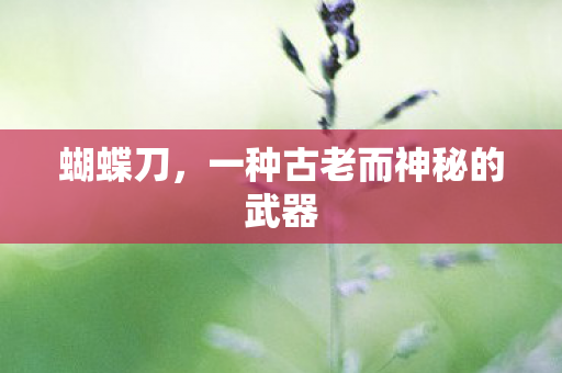 蝴蝶刀，一种古老而神秘的武器