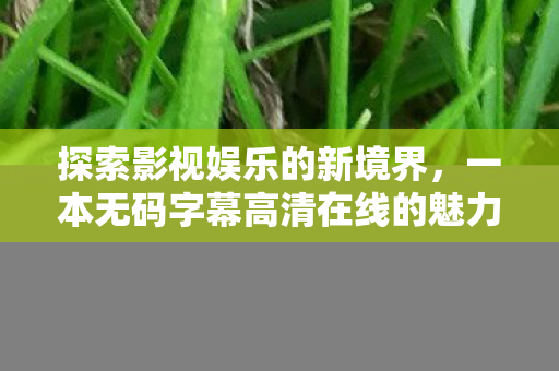 探索影视娱乐的新境界,一本无码字幕高清在线的魅力 探索影视娱乐的新境界,一本无码字幕高清在线的魅力