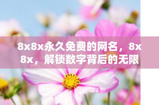 8x8x永久免费的网名，8x8x，解锁数字背后的无限可能