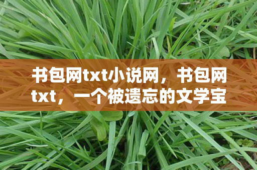 书包网txt小说网,书包网txt,一个被遗忘的文学宝藏 书包网txt小说网,书包网txt,一个被遗忘的文学宝藏