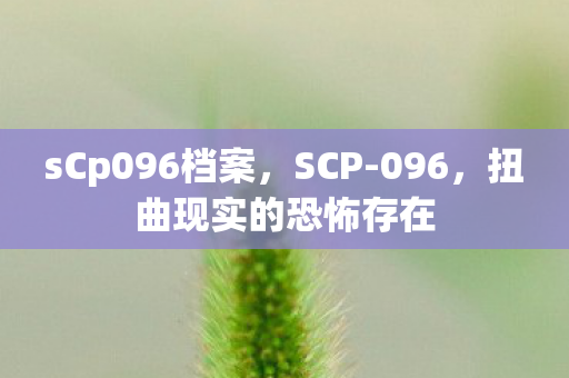sCp096档案，SCP-096，扭曲现实的恐怖存在
