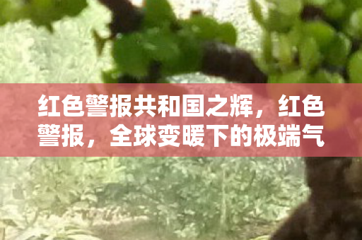 红色警报共和国之辉，红色警报，全球变暖下的极端气候事件