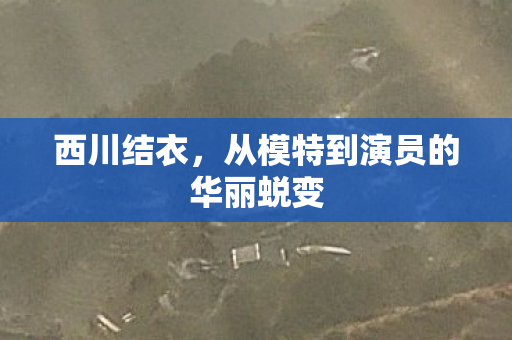 西川结衣，从模特到演员的华丽蜕变