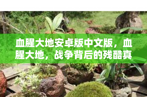 血腥大地安卓版中文版，血腥大地，战争背后的残酷真相
