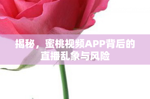 揭秘，蜜桃视频APP背后的直播乱象与风险