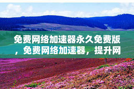 免费网络加速器永久免费版，免费网络加速器，提升网络速度，畅享流畅体验