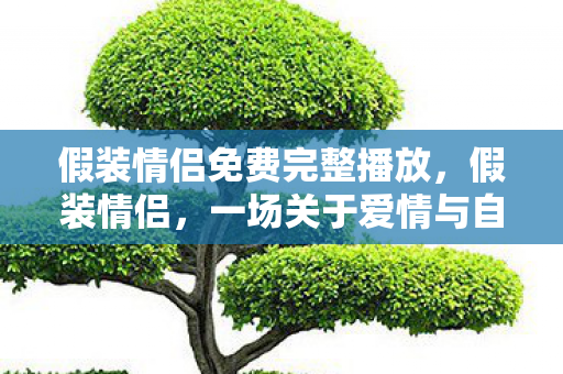 假装情侣免费完整播放，假装情侣，一场关于爱情与自我探索的奇妙旅程