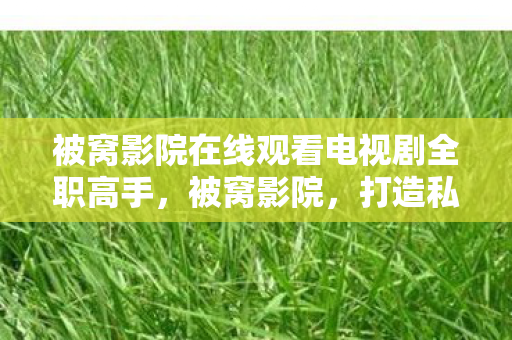 被窝影院在线观看电视剧全职高手，被窝影院，打造私人影院的新潮流