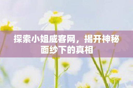 探索小姐威客网，揭开神秘面纱下的真相