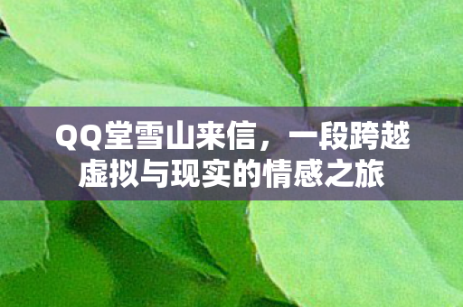 QQ堂雪山来信，一段跨越虚拟与现实的情感之旅