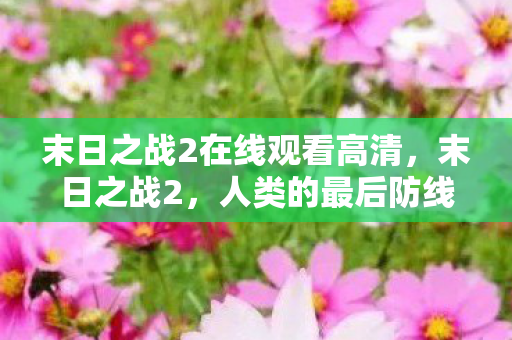 末日之战2在线观看高清，末日之战2，人类的最后防线
