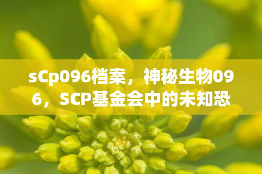 sCp096档案，神秘生物096，SCP基金会中的未知恐怖