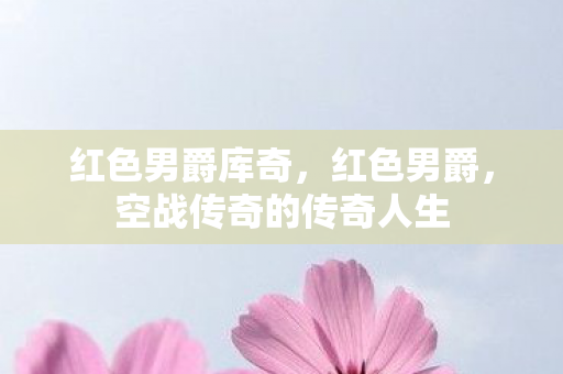 红色男爵库奇，红色男爵，空战传奇的传奇人生