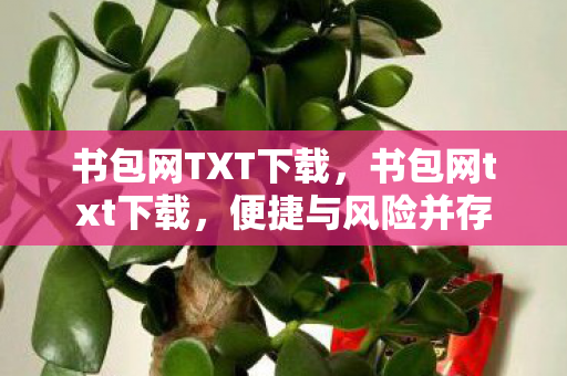 书包网TXT下载，书包网txt下载，便捷与风险并存