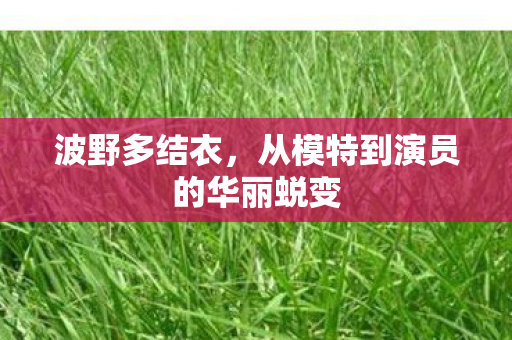 波野多结衣，从模特到演员的华丽蜕变
