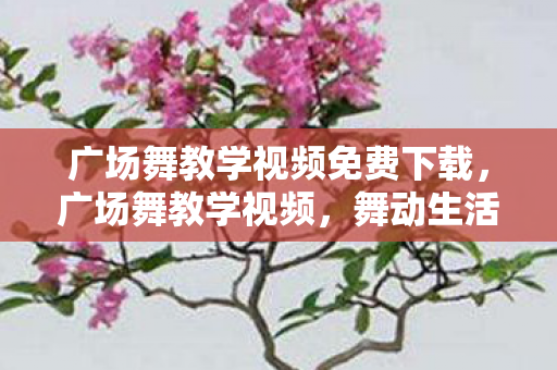 广场舞教学视频免费下载，广场舞教学视频，舞动生活的快乐音符