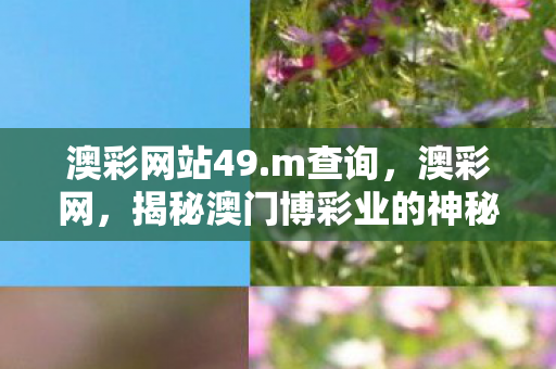 澳彩网站49.m查询,澳彩网,揭秘澳门博彩业的神秘面纱 澳彩网站49.m查询,澳彩网,揭秘澳门博彩业的神秘面纱