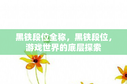 黑铁段位全称，黑铁段位，游戏世界的底层探索