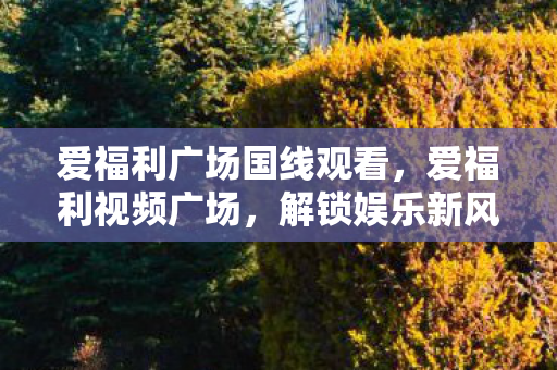爱福利广场国线观看，爱福利视频广场，解锁娱乐新风尚