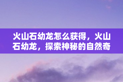 火山石幼龙怎么获得，火山石幼龙，探索神秘的自然奇观