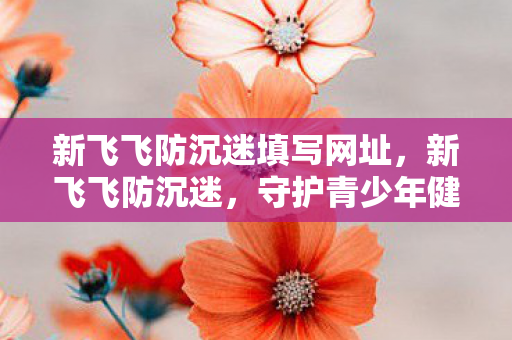 新飞飞防沉迷填写网址，新飞飞防沉迷，守护青少年健康成长