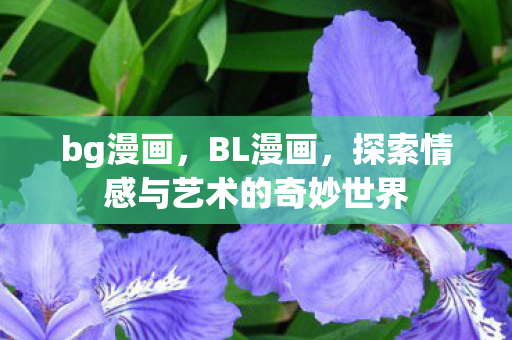 bg漫画，BL漫画，探索情感与艺术的奇妙世界