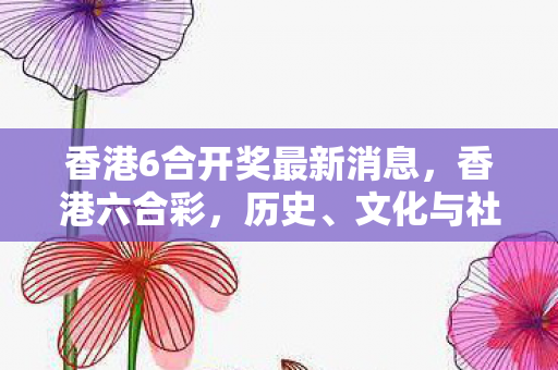 香港6合开奖最新消息，香港六合彩，历史、文化与社会影响