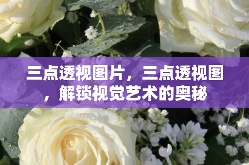 三点透视图片，三点透视图，解锁视觉艺术的奥秘