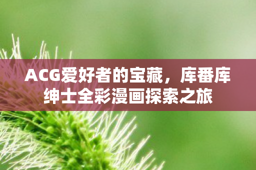 ACG爱好者的宝藏,库番库绅士全彩漫画探索之旅 ACG爱好者的宝藏,库番库绅士全彩漫画探索之旅